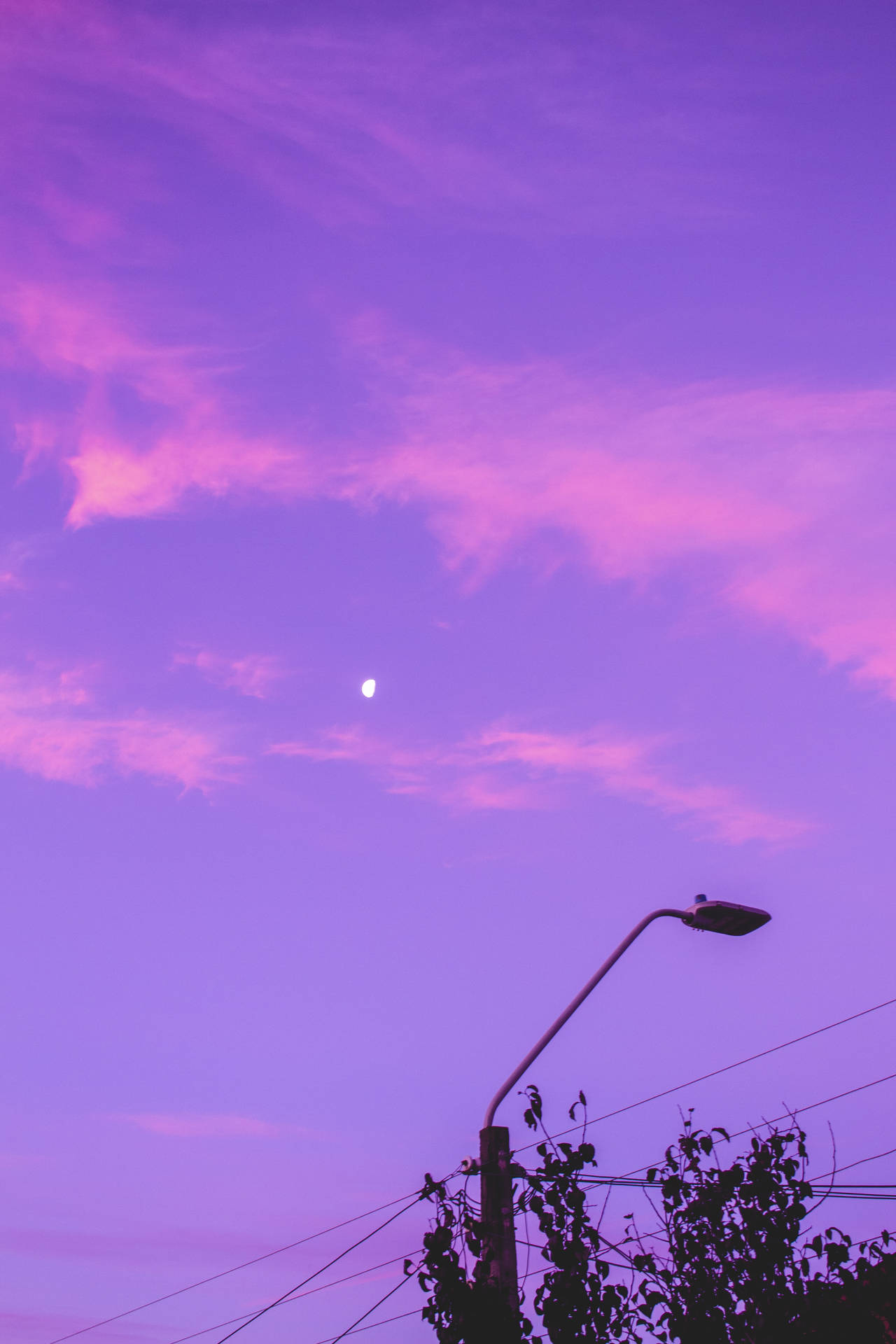 Dark Purple Aesthetic Pink Sky Background