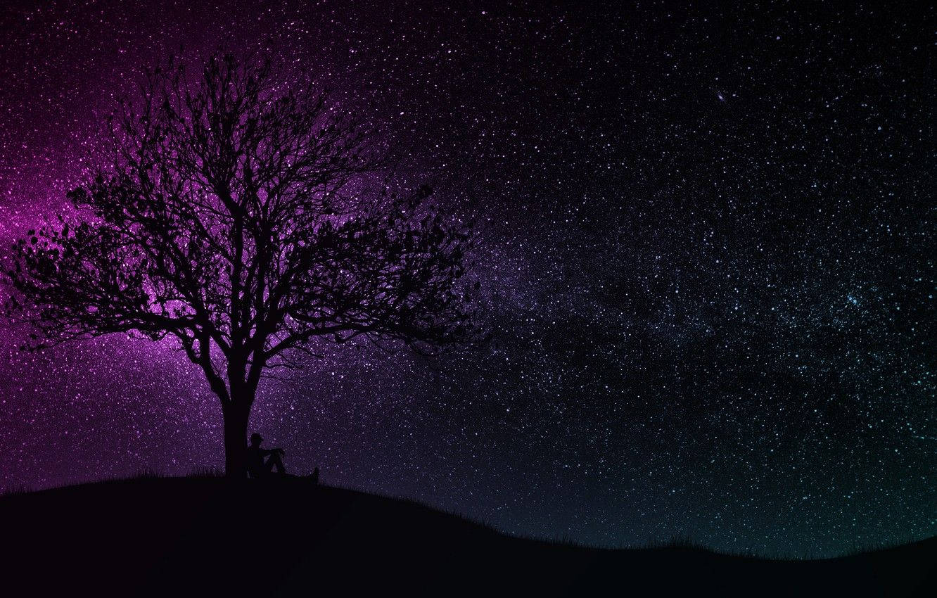 Dark Purple Blue Sparkling Sky Background