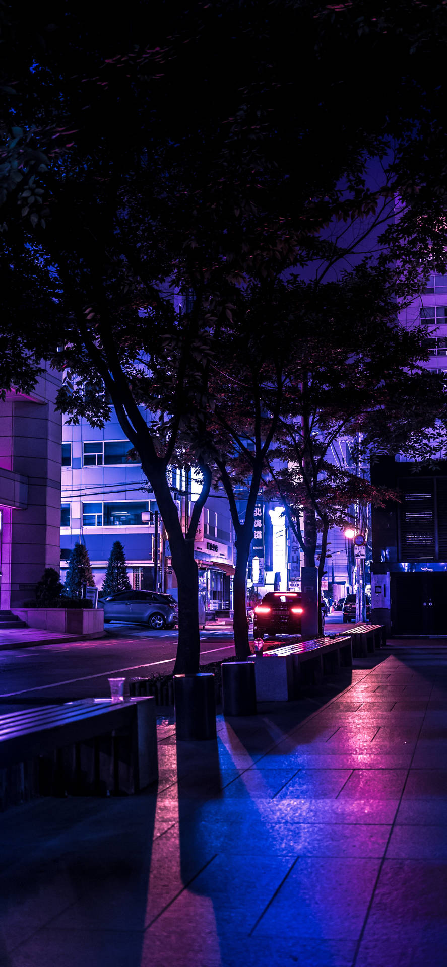 Dark Purple Night Street Background