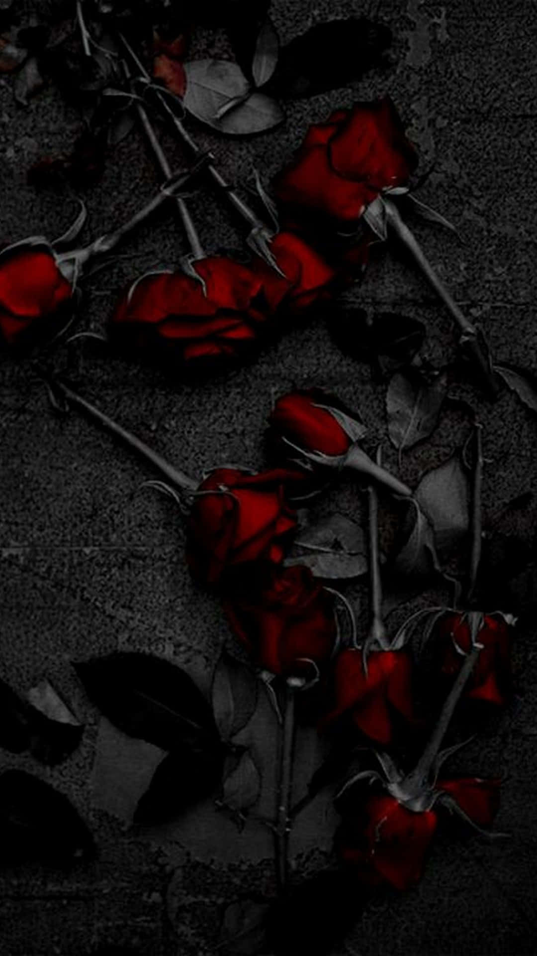 Dark Red Aesthetic Deep Red Roses Background