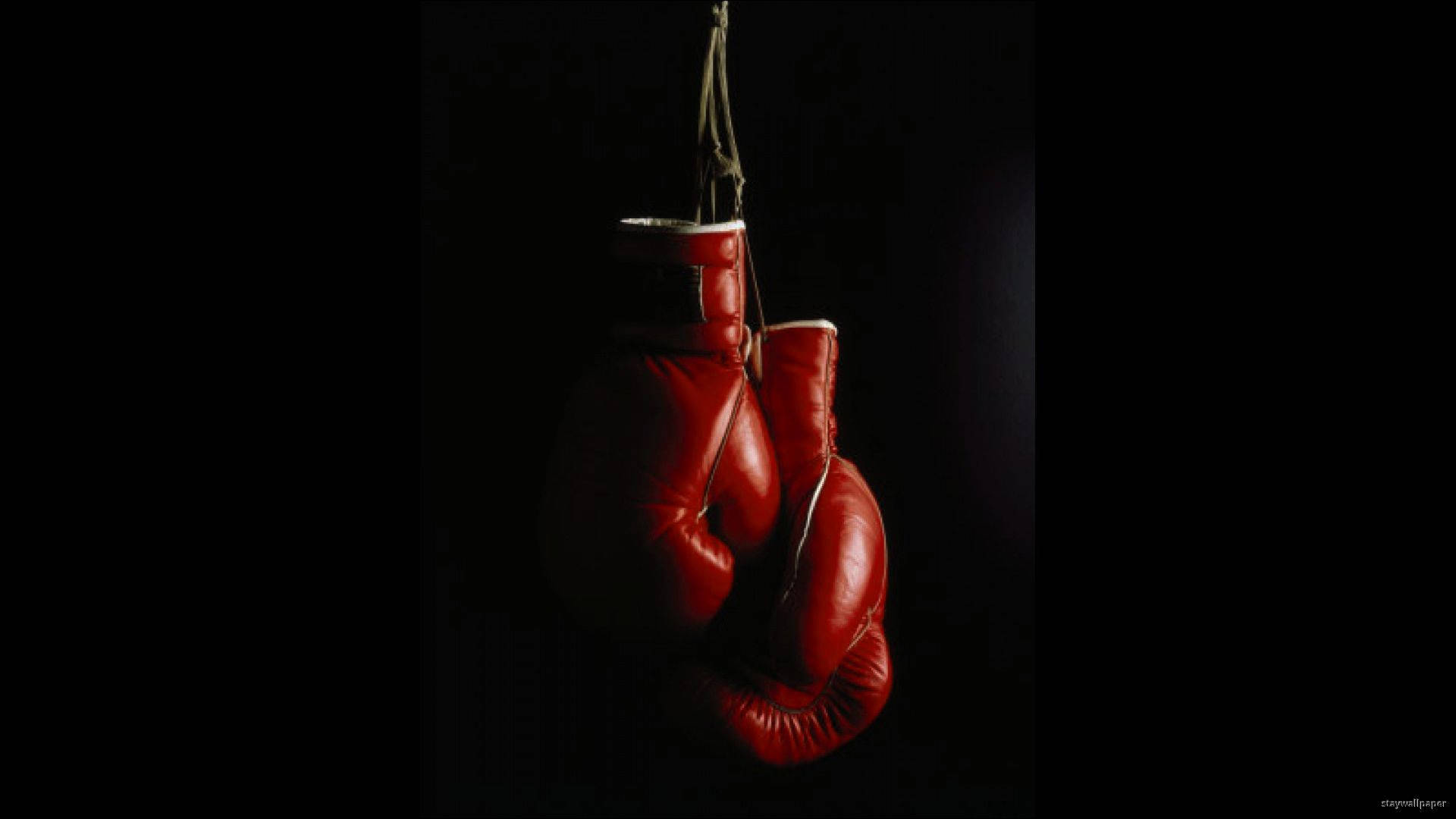Dark Red Boxing Gloves Background
