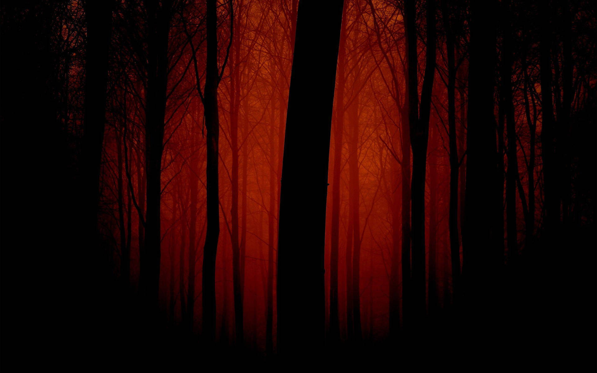 Dark Red Forest Background