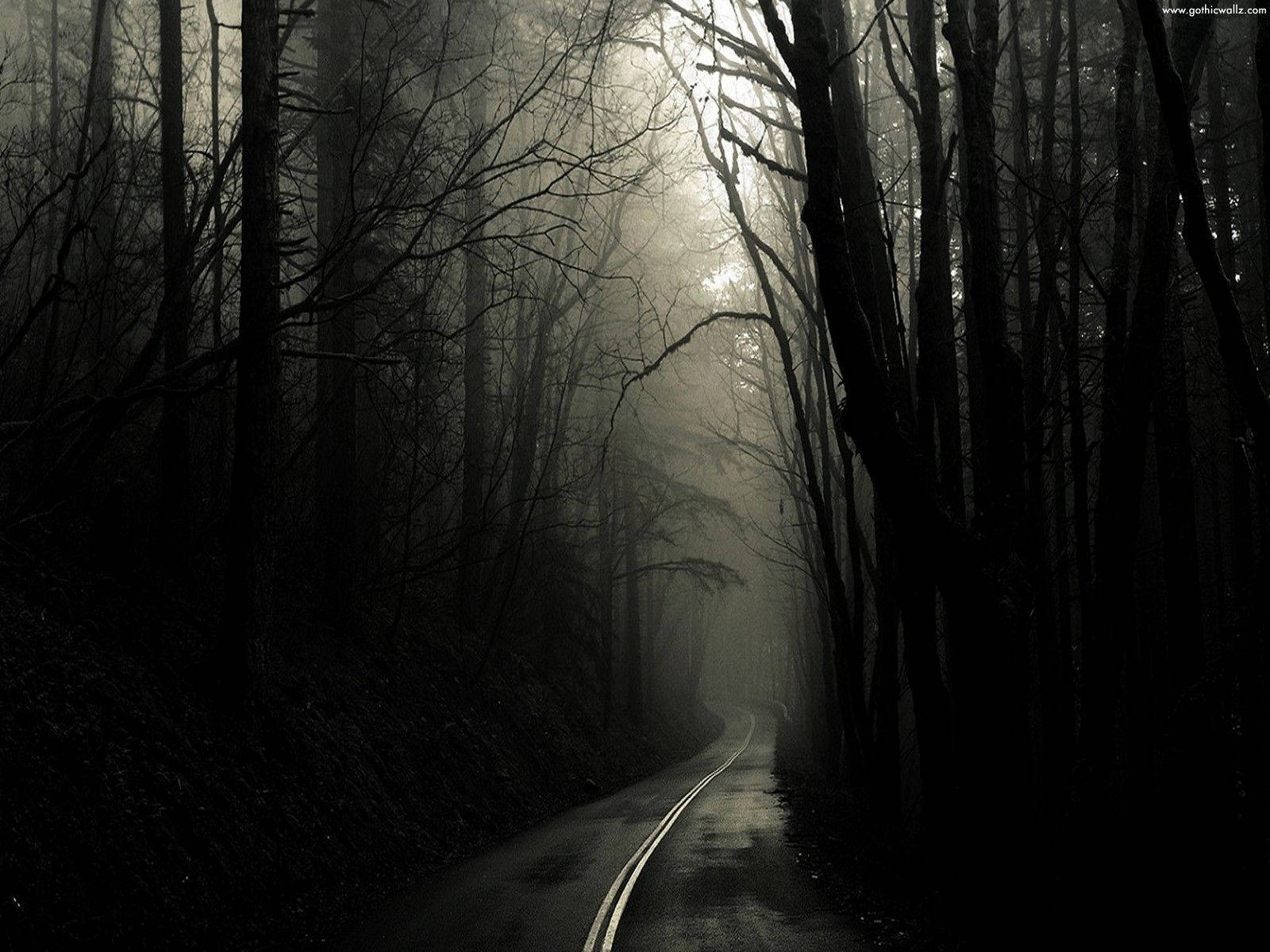 Dark Road In Gothic Forest Background