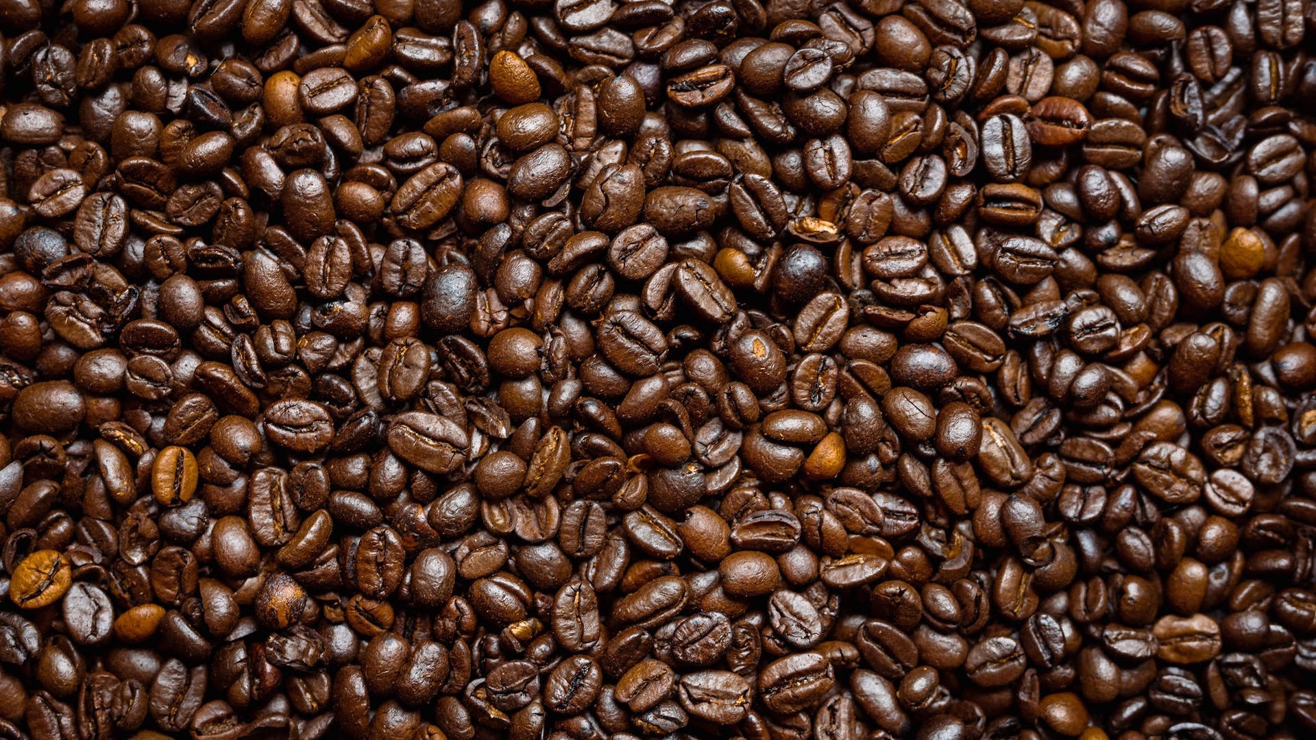 Dark Roast Coffee Beans