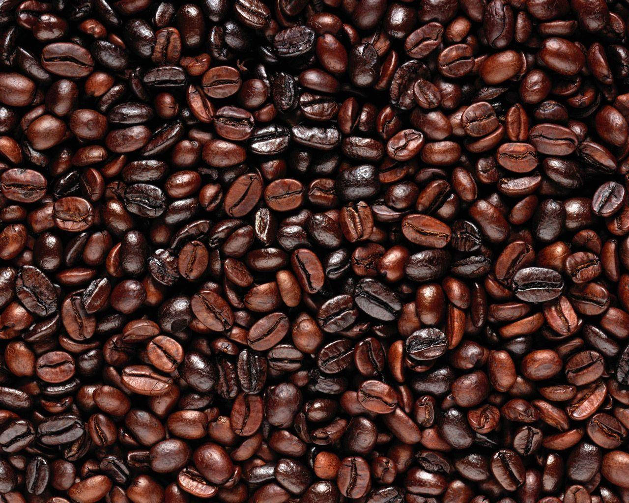 Dark Roasted Coffee Beans Shining