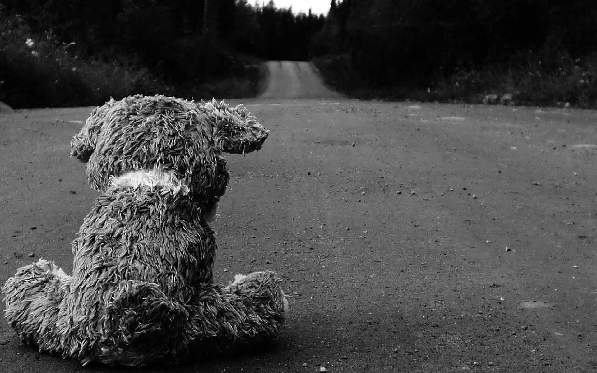 Dark Sad Teddy Bear In Road Background