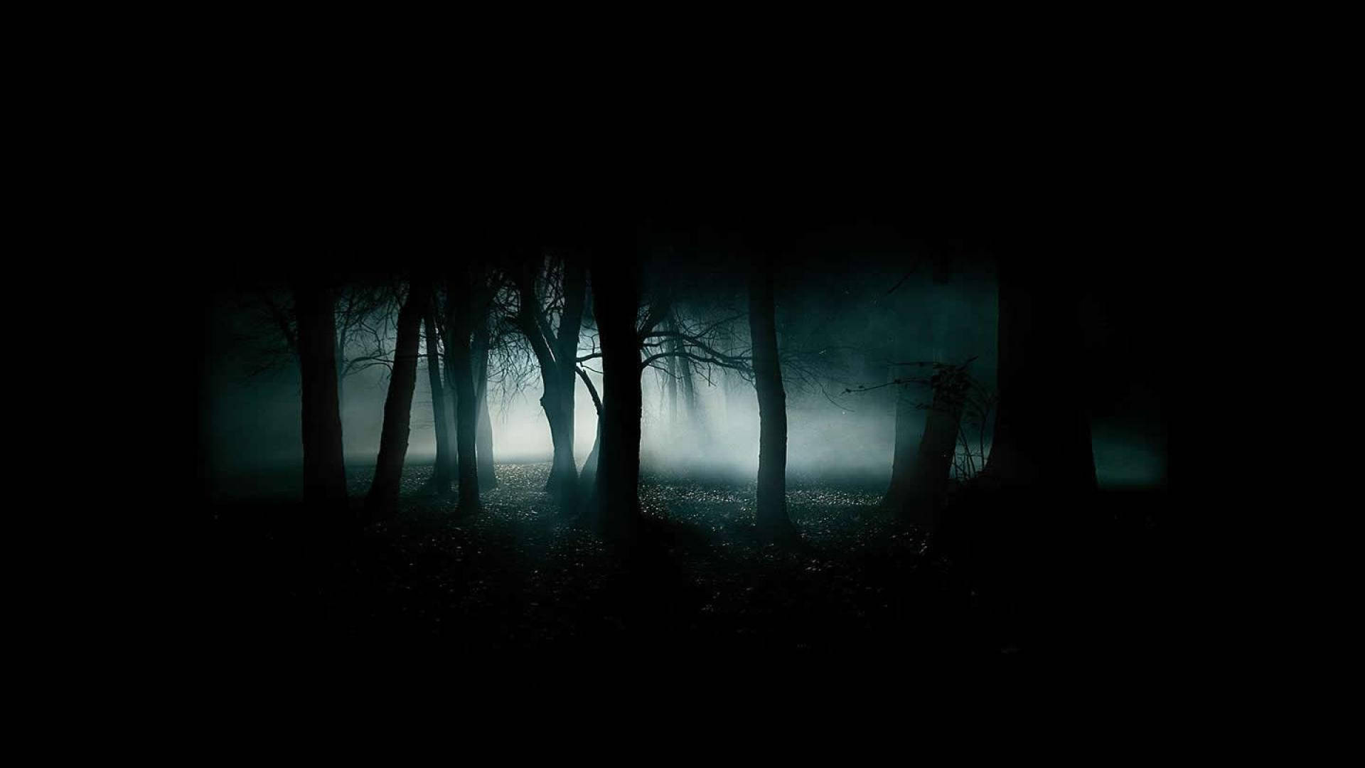Dark Scary Foggy Forest Background