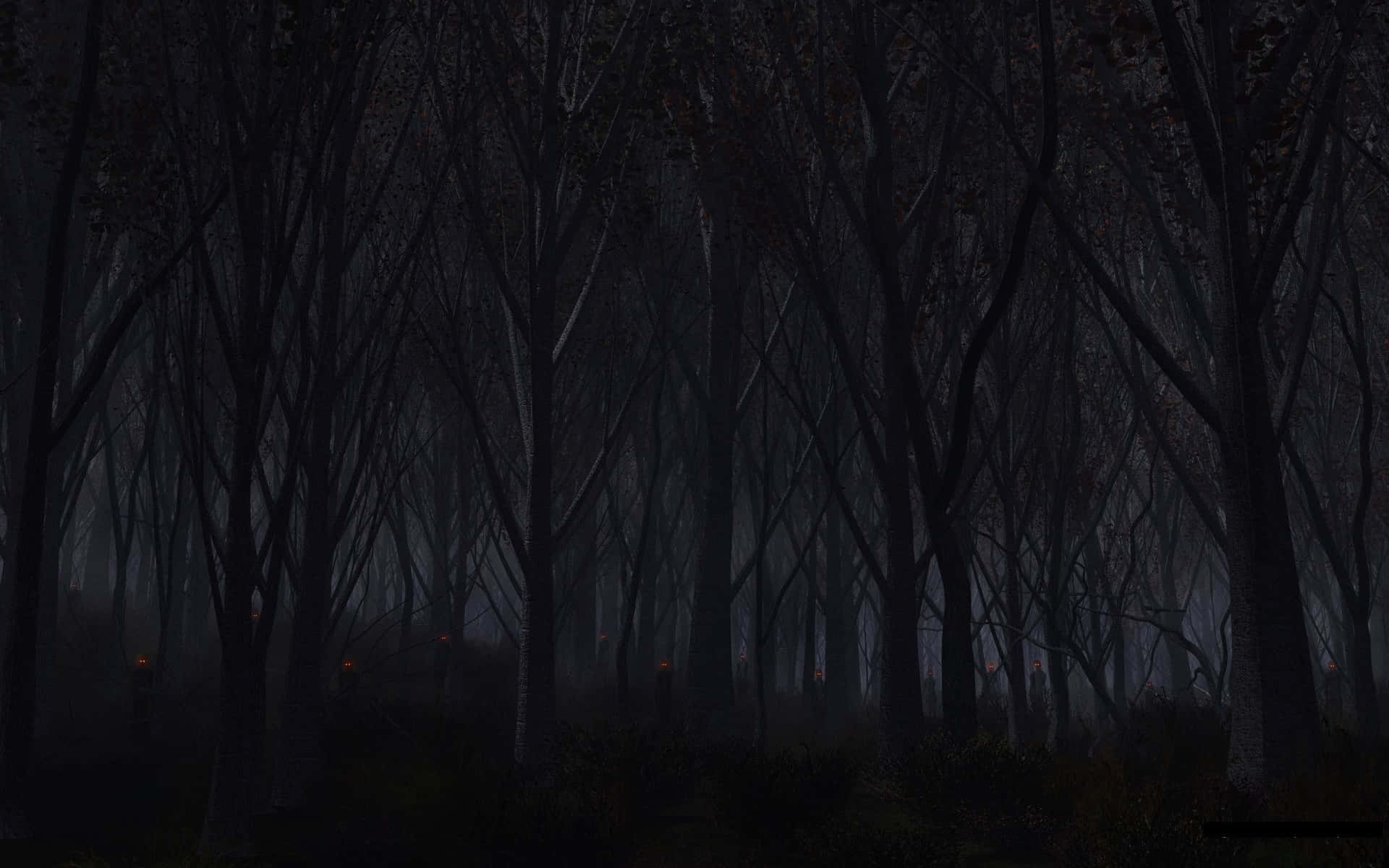 Dark Scary Haunted Forest Background