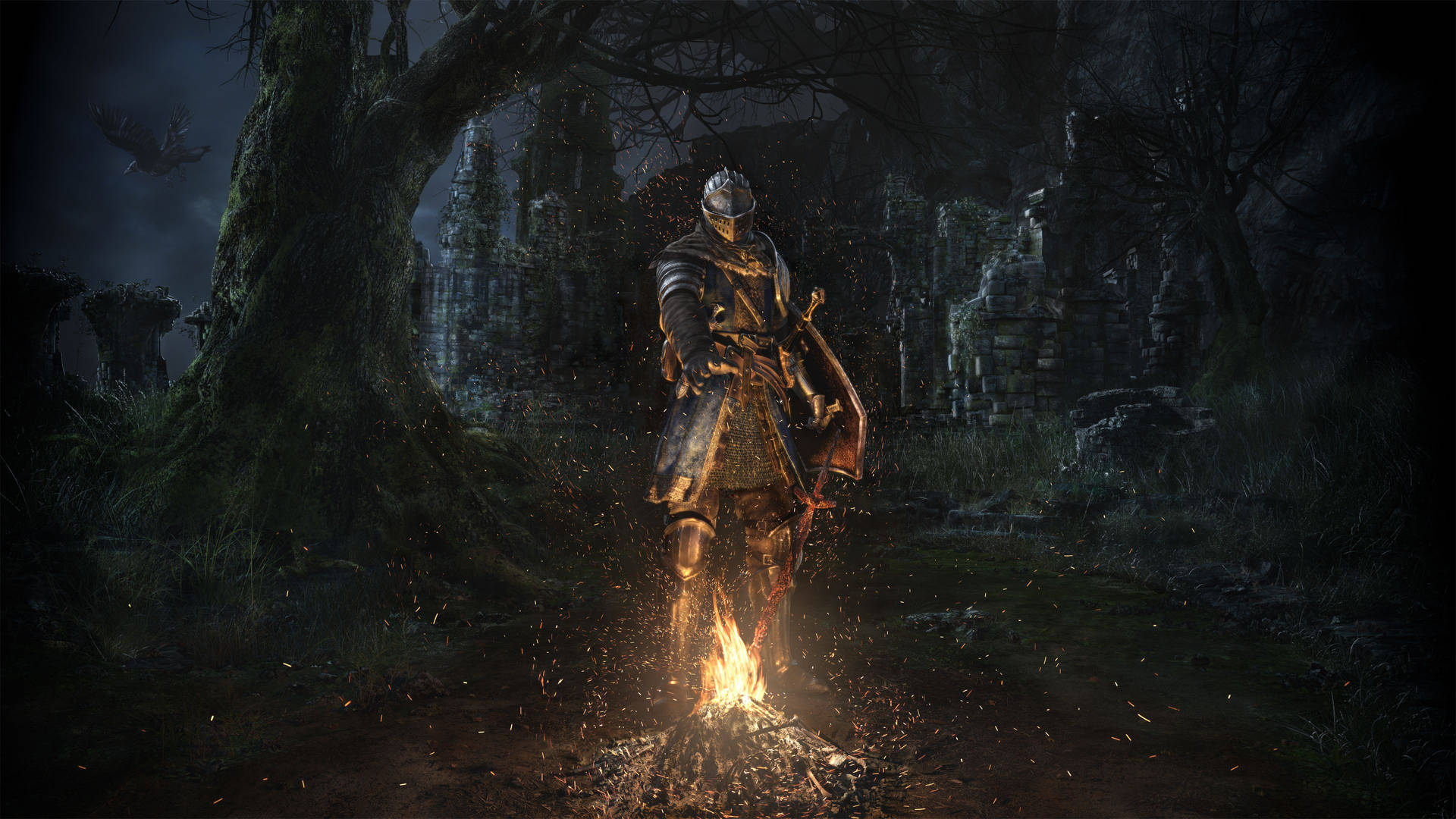 Dark Souls Remastered Fan Art Cover Background
