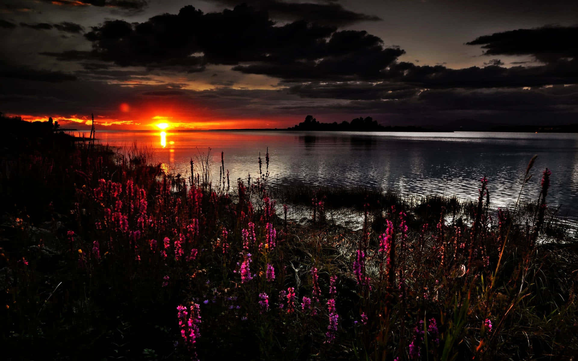 Dark Spring Sunset Riverbank Shrubs Background