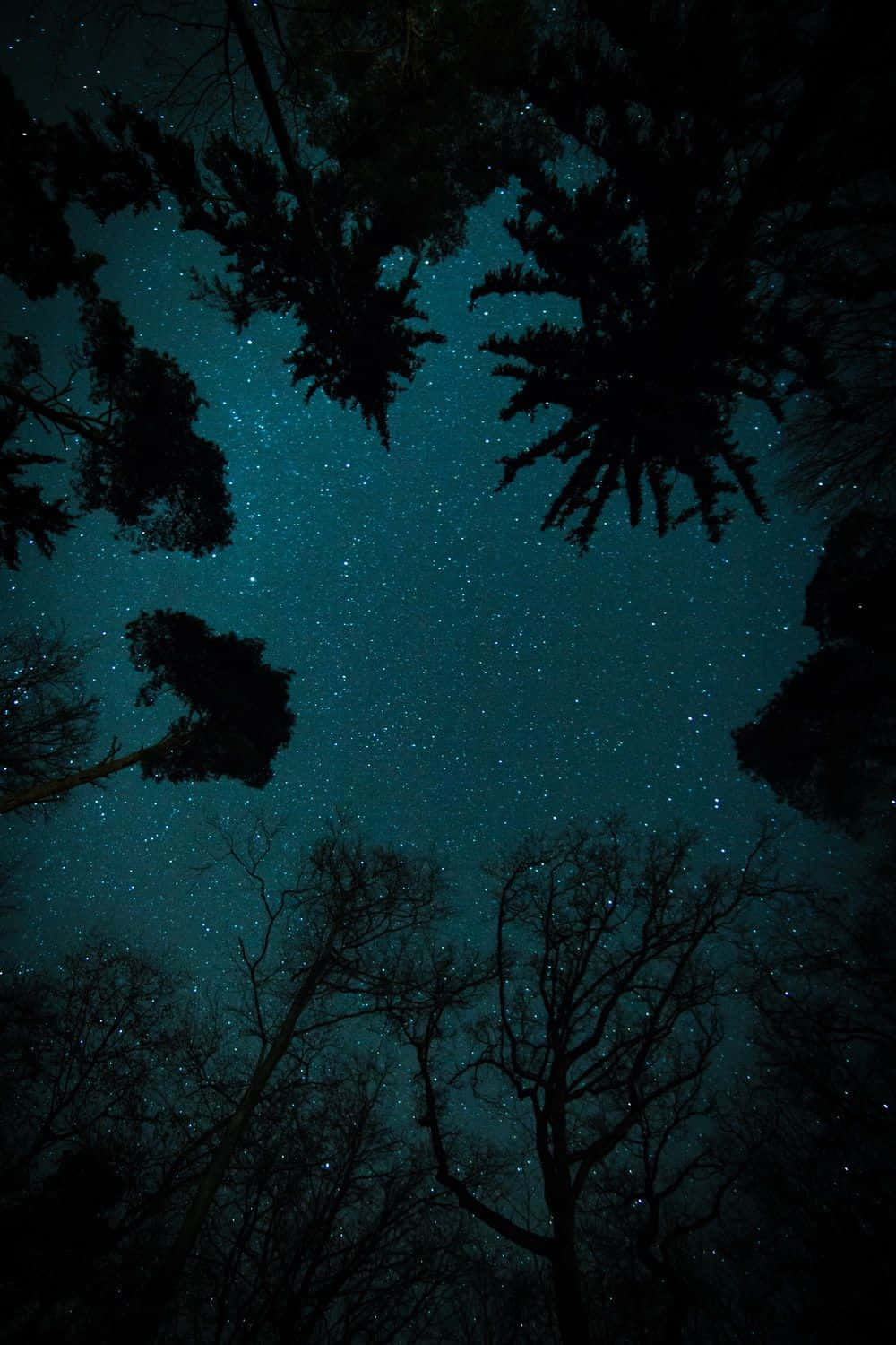 Dark Starry Night Sky In Worm Eye View Background
