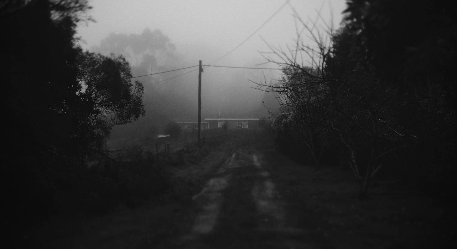 Dark Theme Foggy Area Dirt Road Background