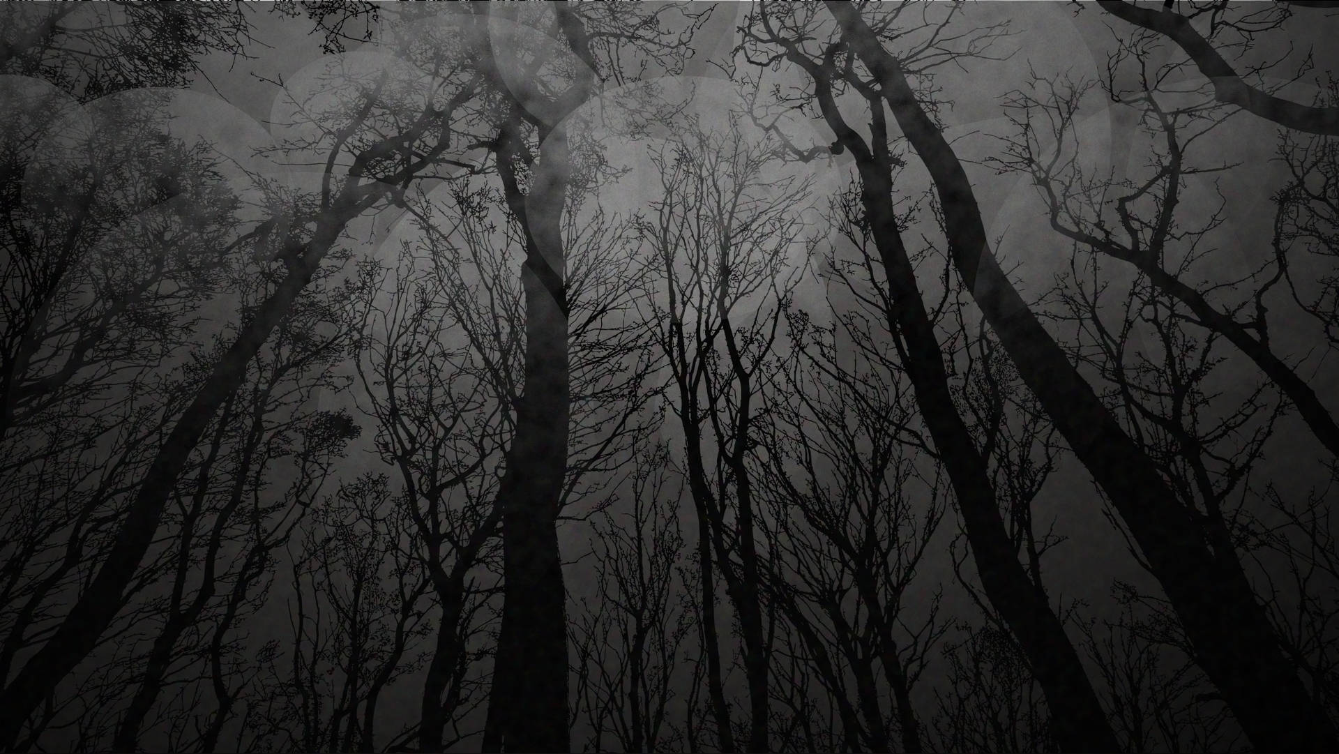 Dark Trees Art