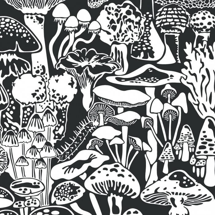 Dark Trippy Mushrooms Background