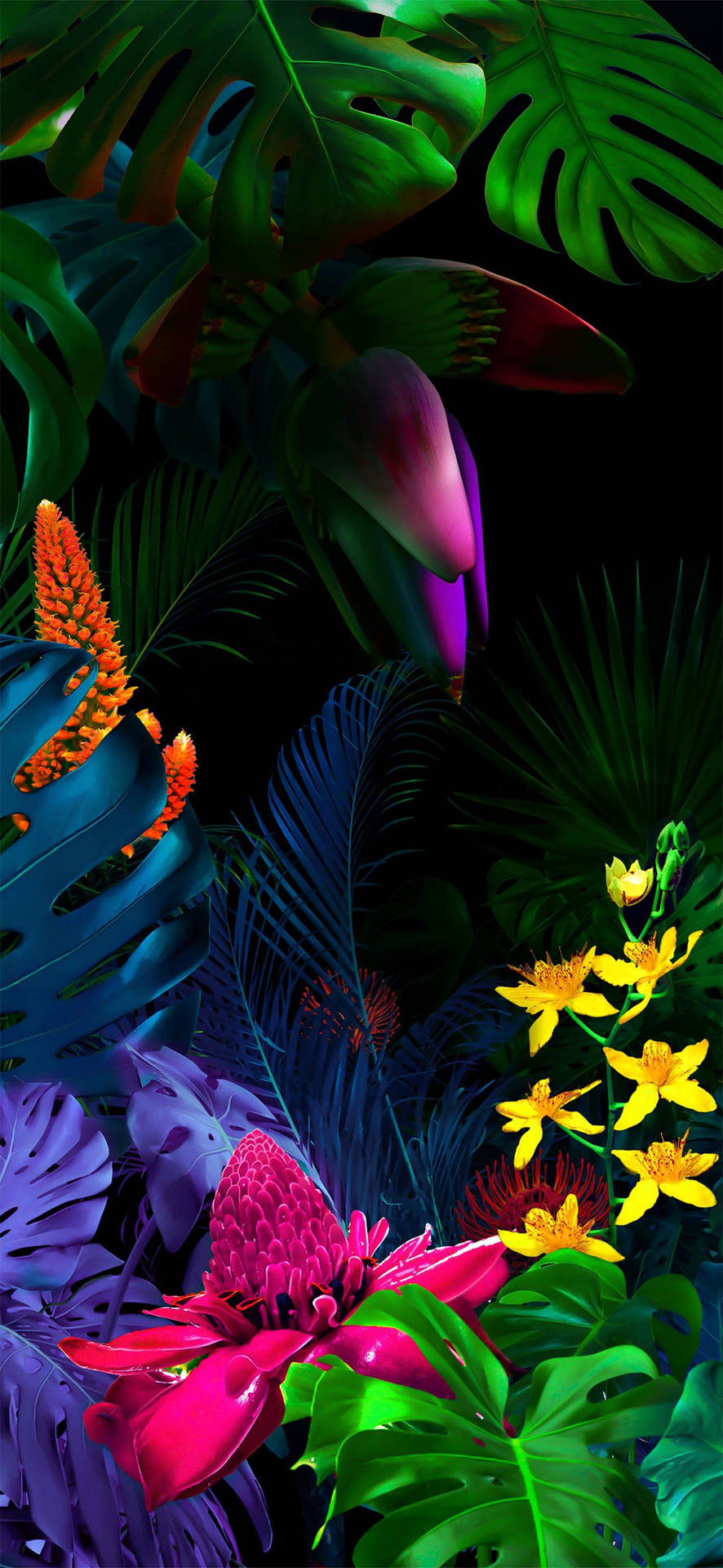 Dark Tropical Illustration Iphone