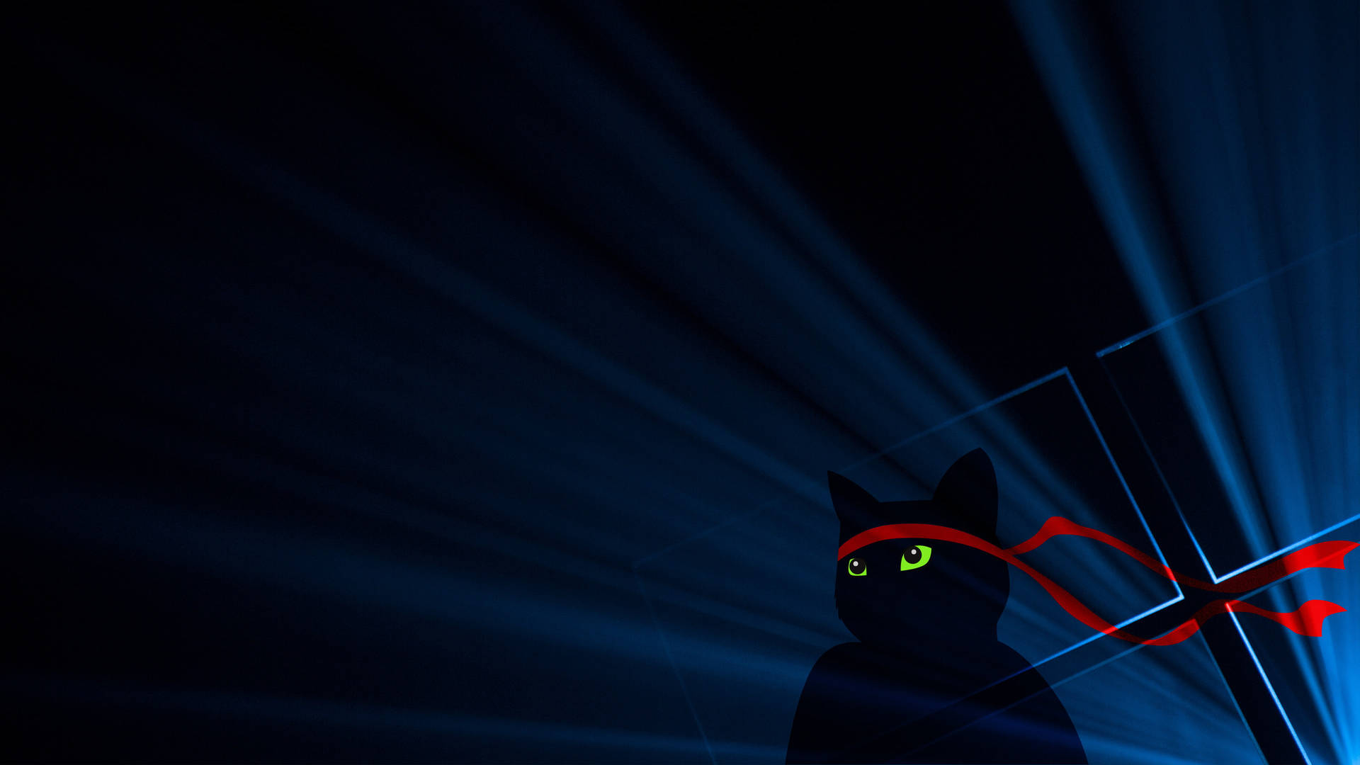 Dark Windows Cat Ninja