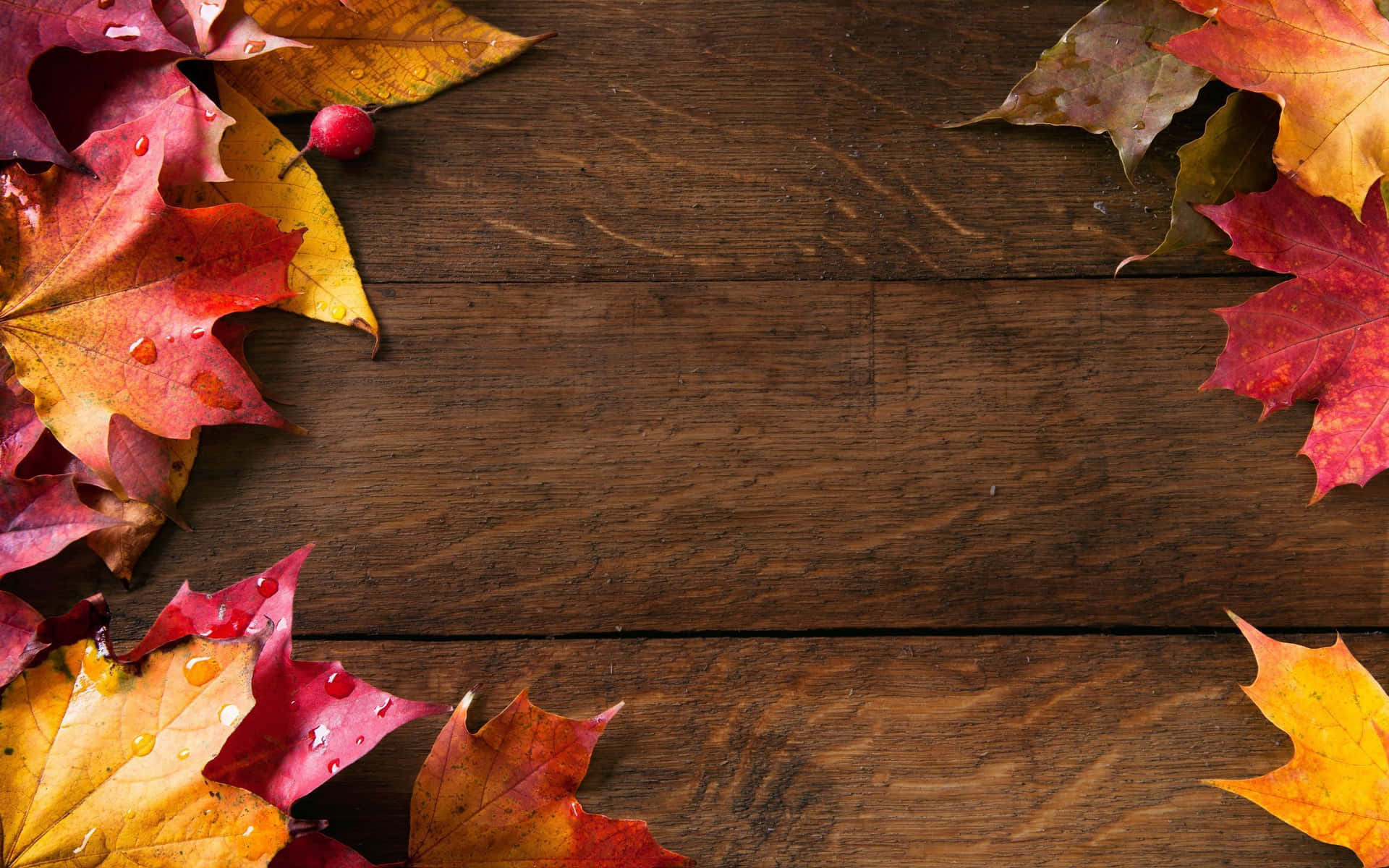 Dark Wood Deck With Maple Leaves Fall Autumn Desktop Background