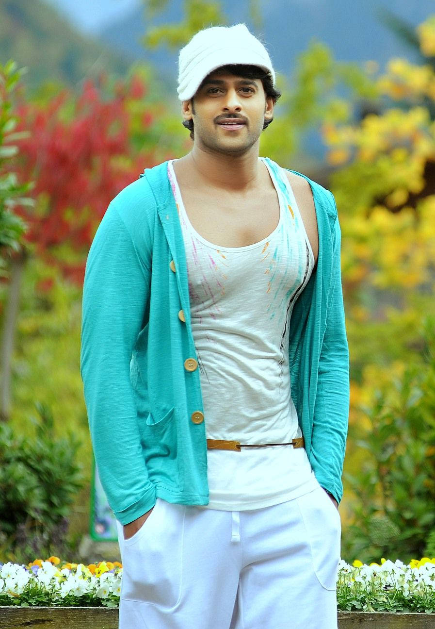 Darling Prabhas Movie In Park Background