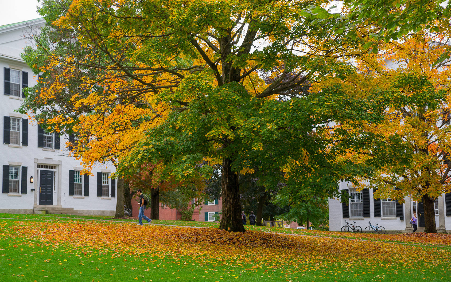 Dartmouth College Campus View Background