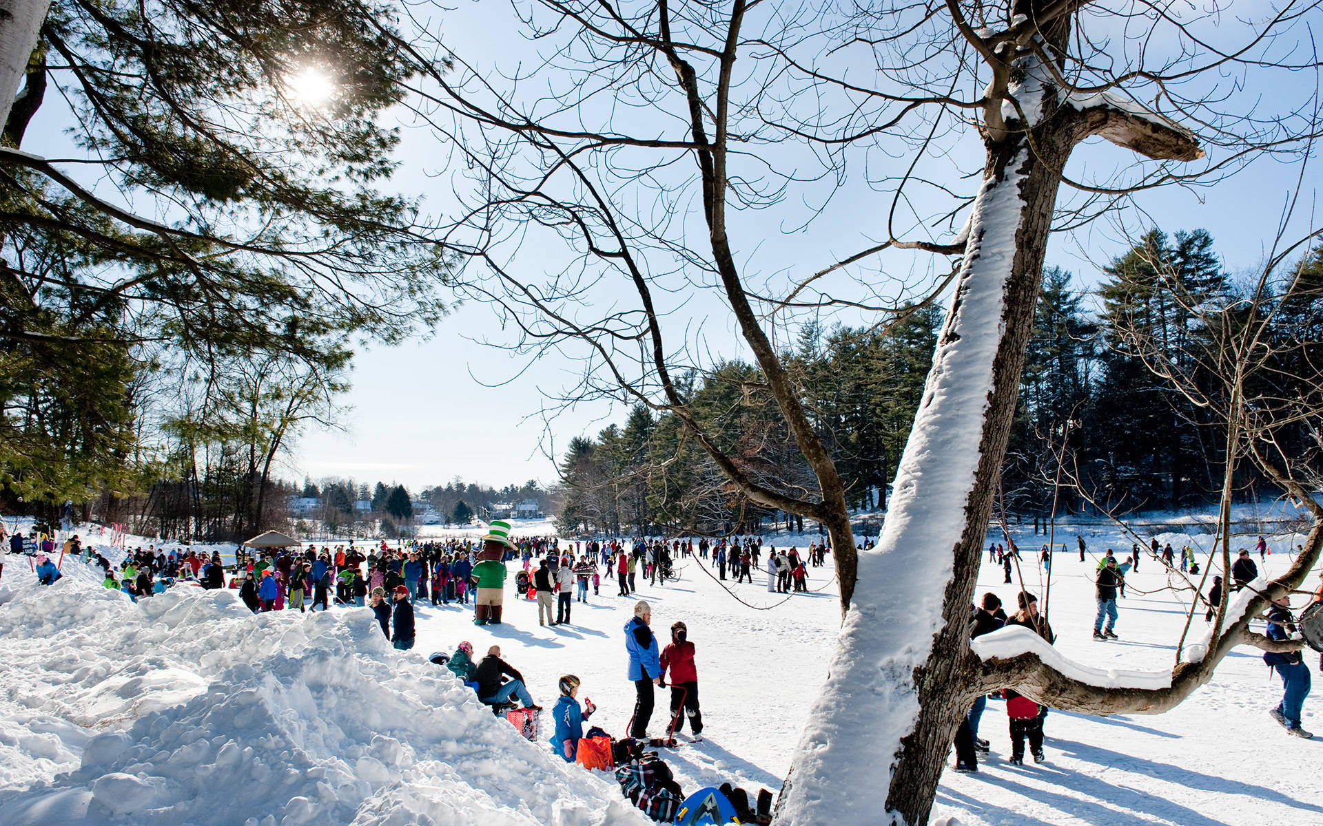 Dartmouth College Winter Carnival Background