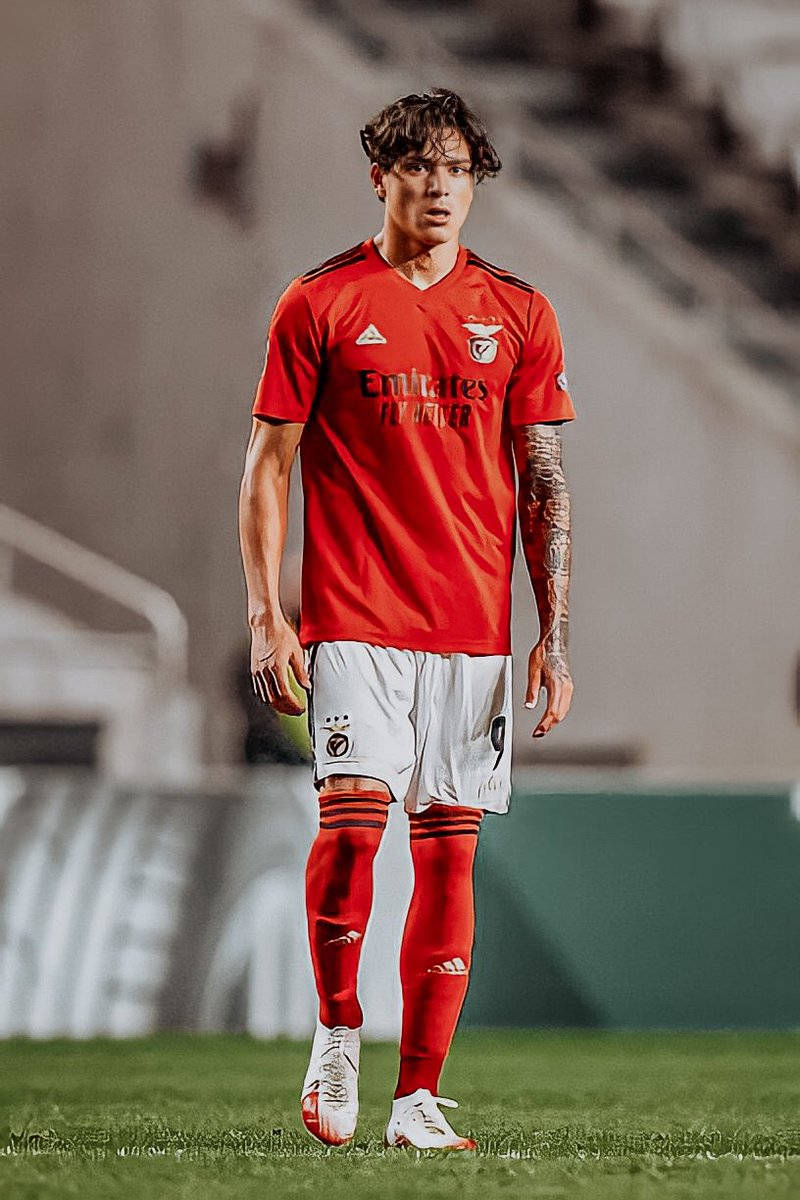 Darwin Núñez Benfica Standing Background