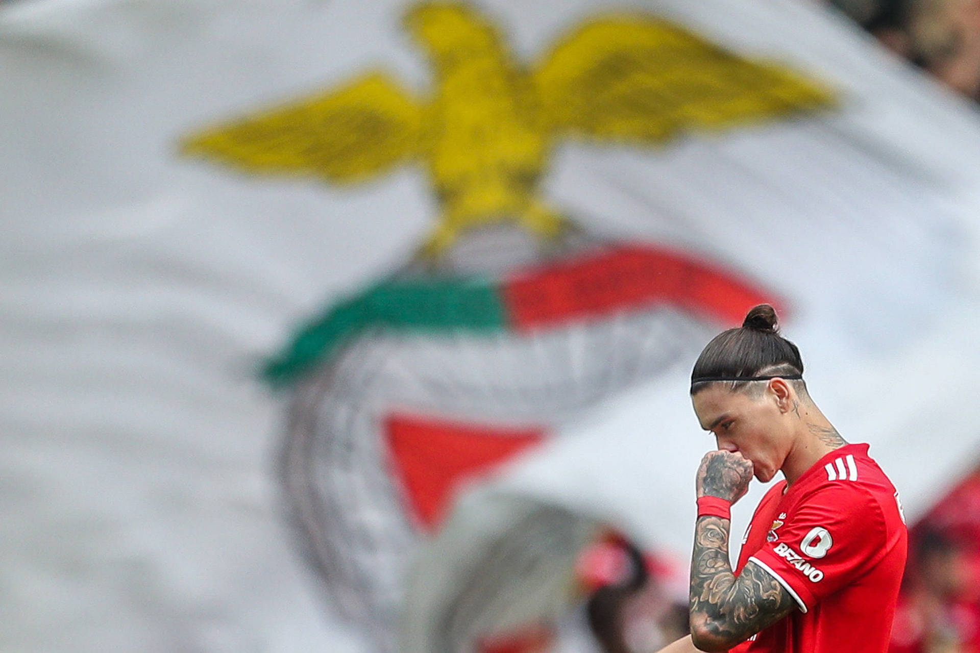 Darwin Núñez Thinking Benfica Flag Background