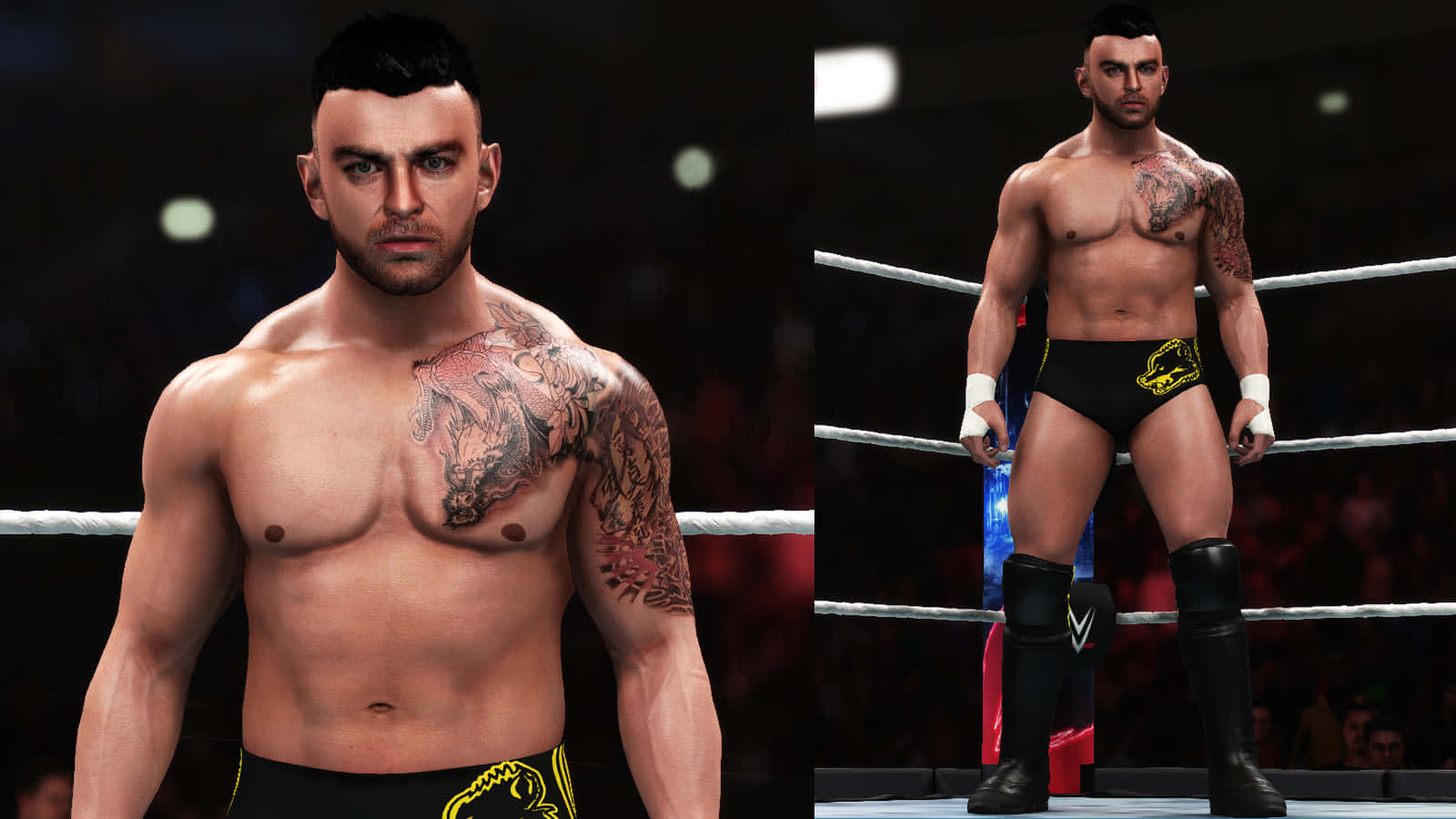 Davey Richards Wwe 2k19 Game Background