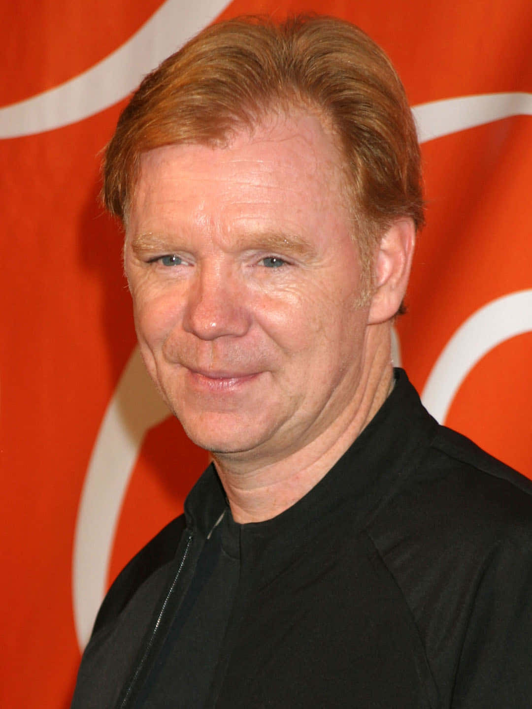 David Caruso Striking A Pose Against A Blurred City Background Background