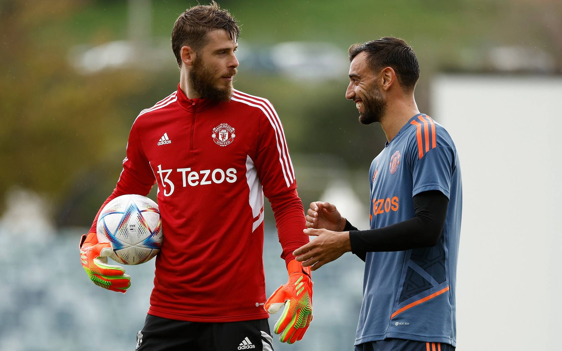 David De Gea And Bruno Fernandes