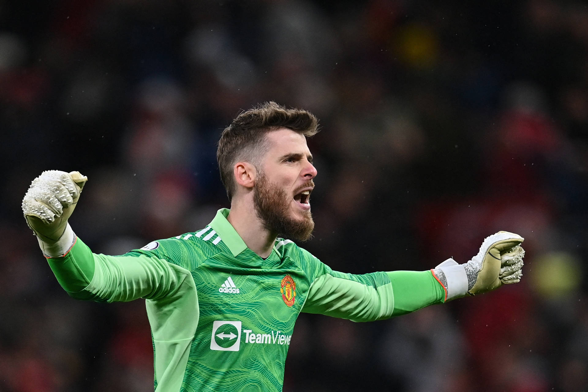 David De Gea Celebrating Background