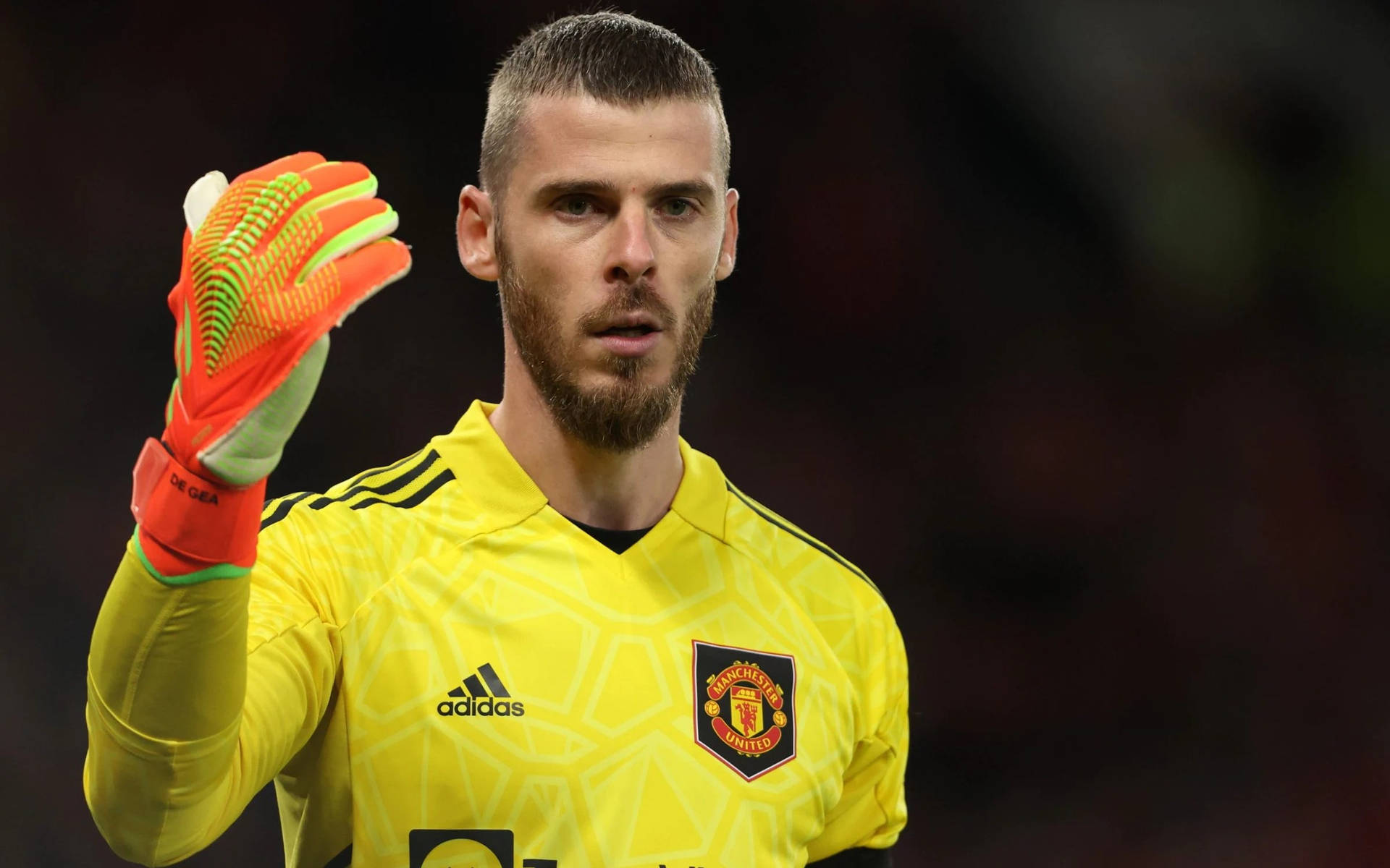 David De Gea Come On Gesture Background