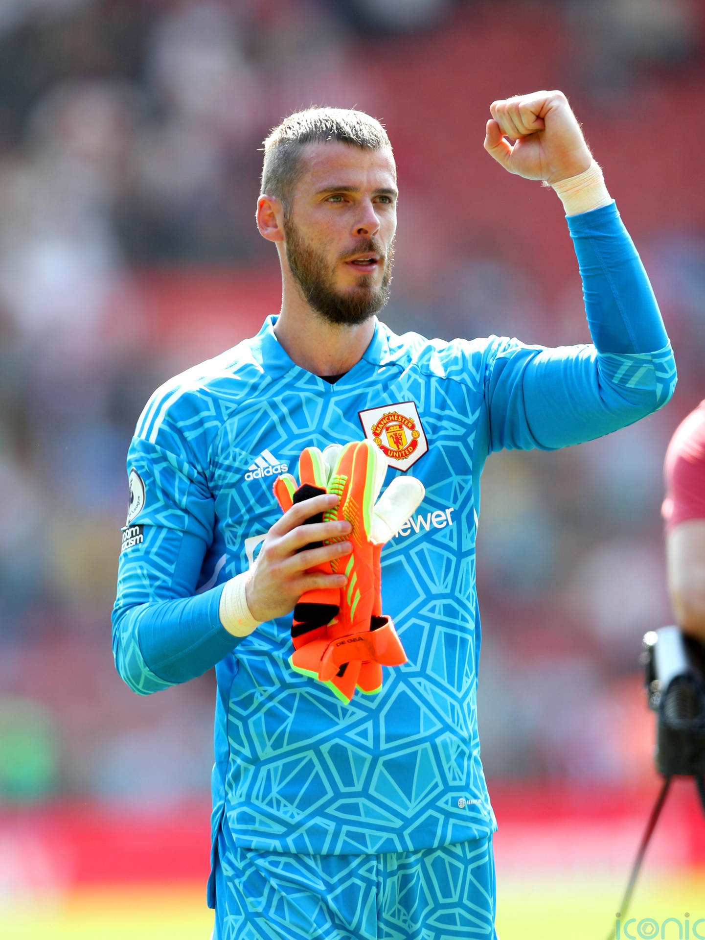 David De Gea Fist Pump