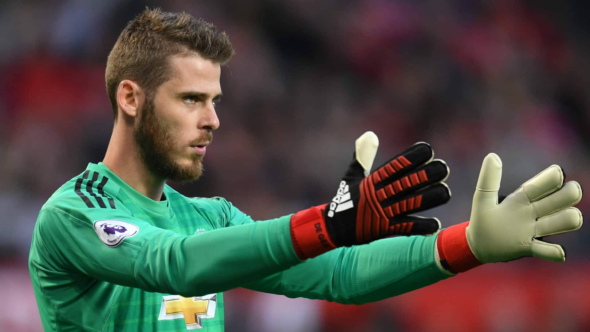 David De Gea Focused On Match Background