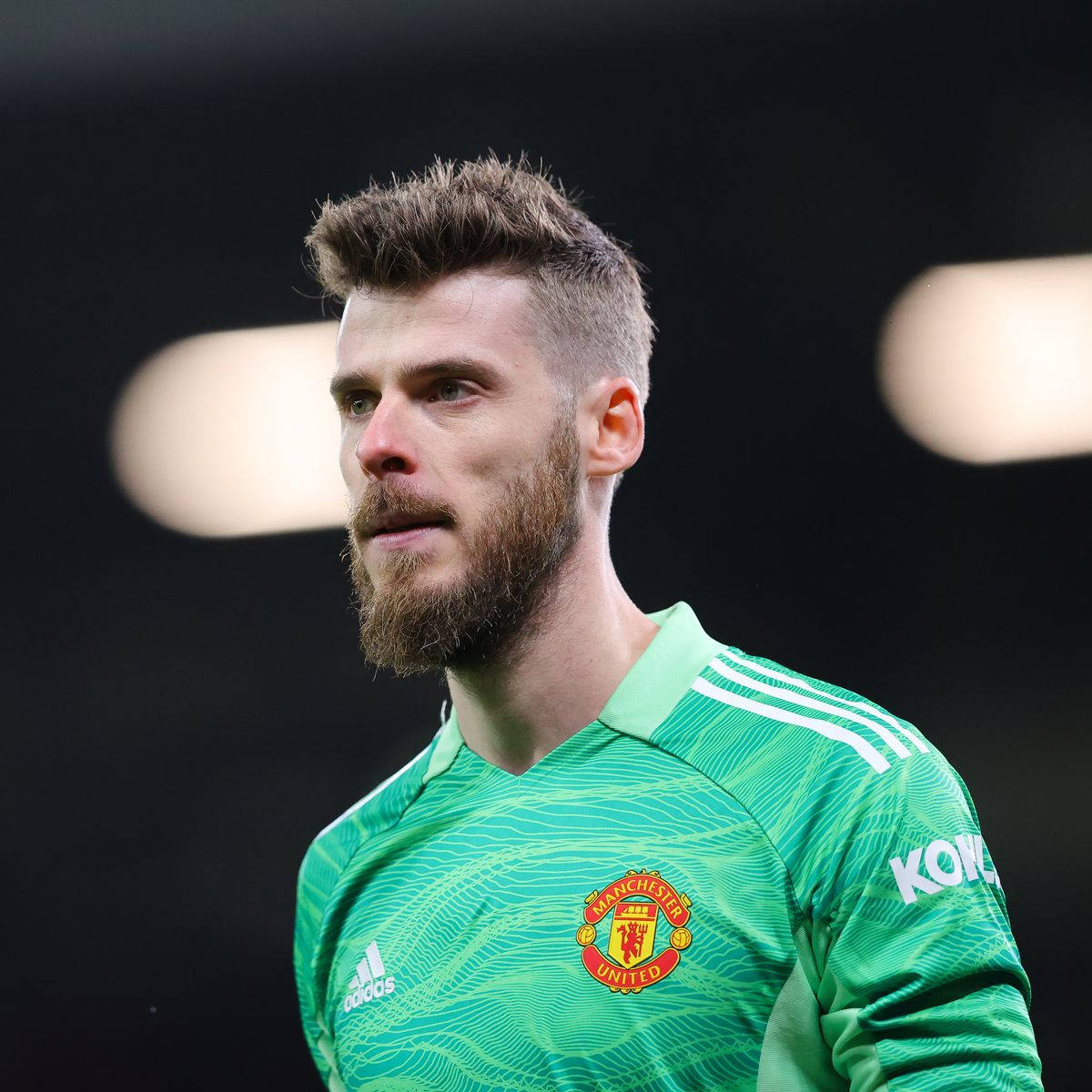 David De Gea In Green Jersey