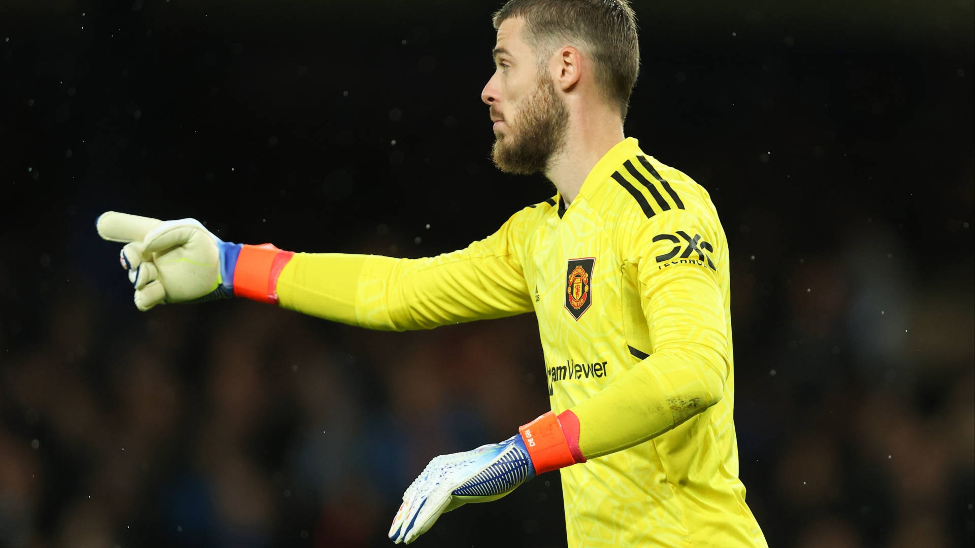 David De Gea Pointing Finger