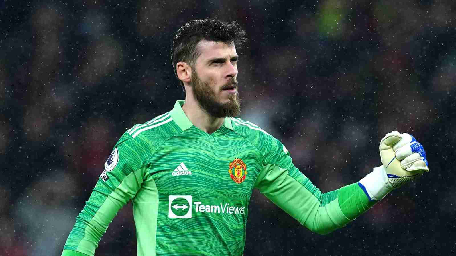 David De Gea Successful Fist Pump Background