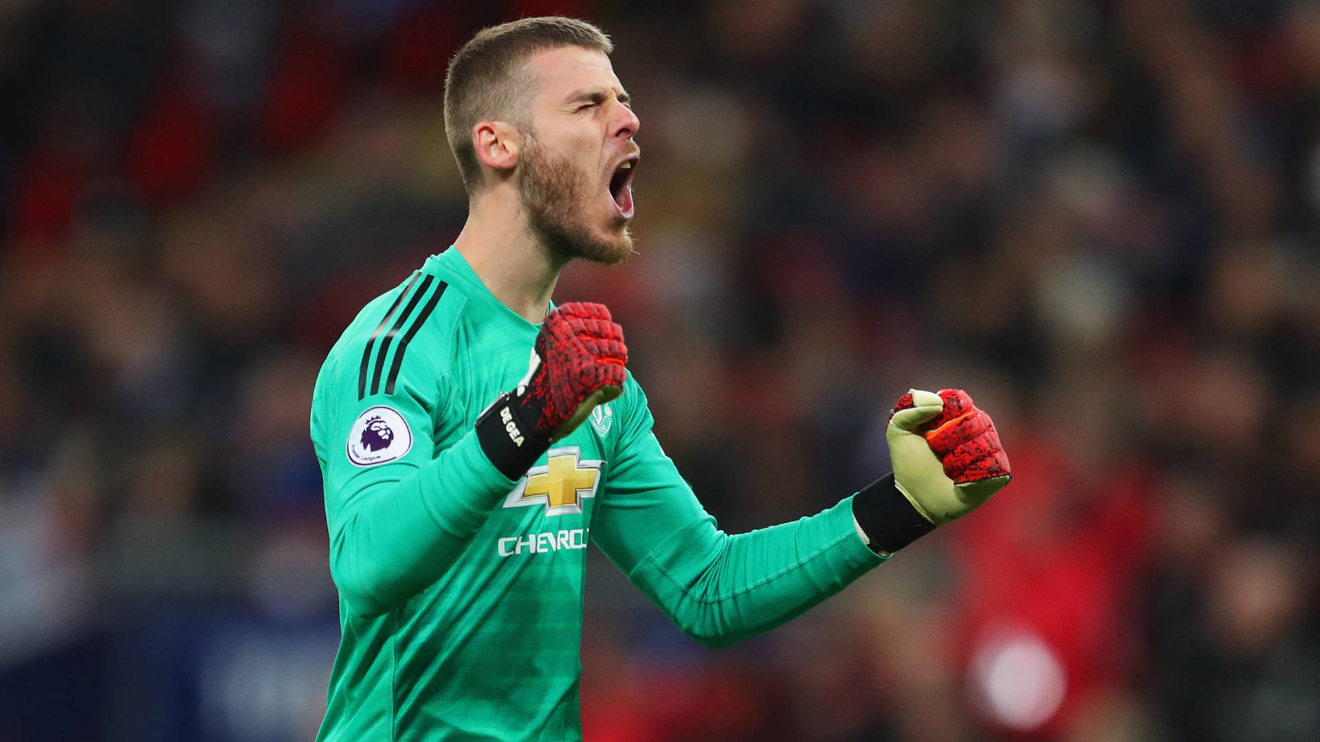 David De Gea Victorious Celebration