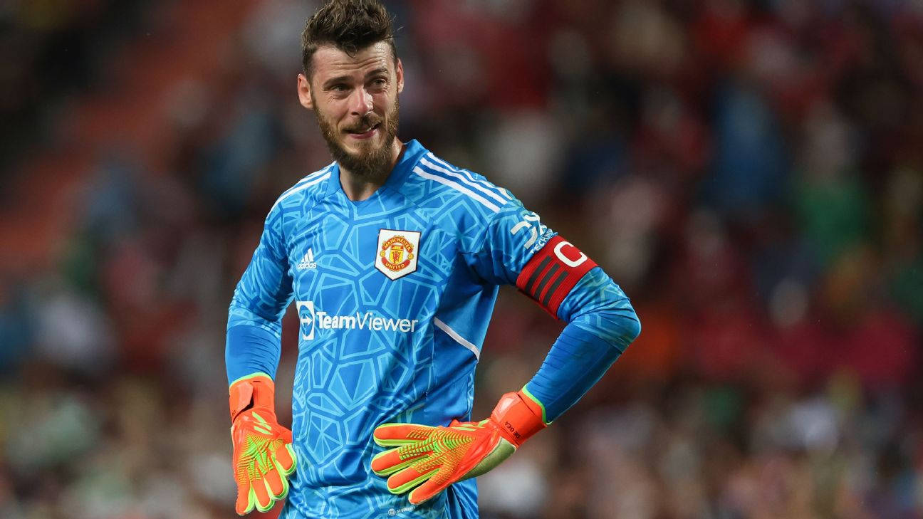 David De Gea Wearing Orange Gloves Background