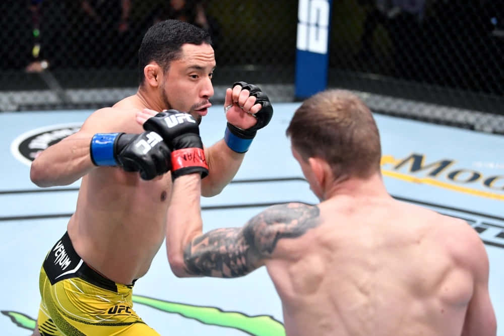 David Dvořák Fighting Juancamilo Ronderos Background