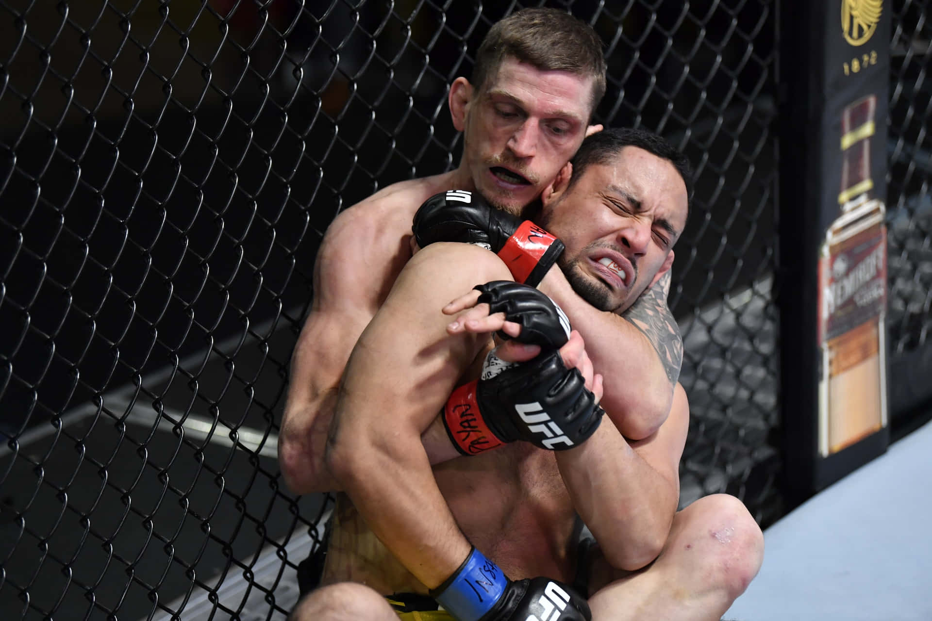 David Dvořák Headlock Background