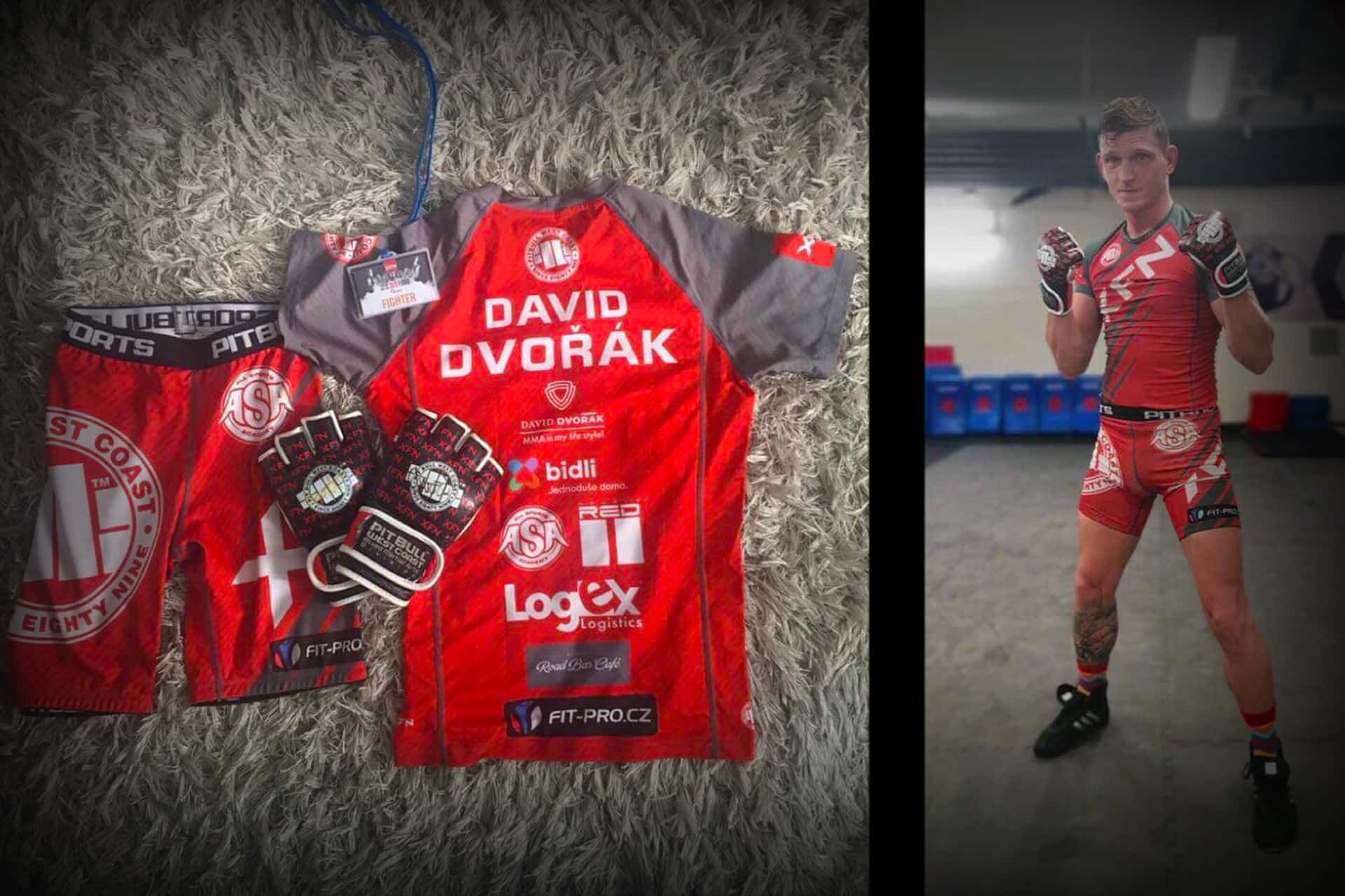 David Dvořák Uniform Background