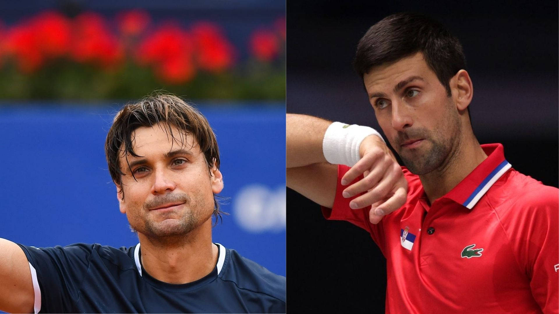 David Ferrer And Novak Djokovic