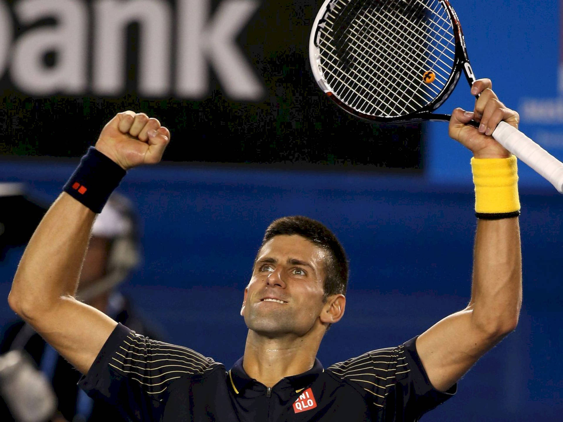 David Ferrer Arms Raised Up