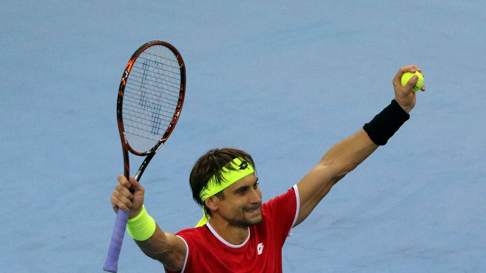 David Ferrer Arms Up Celebrating Background