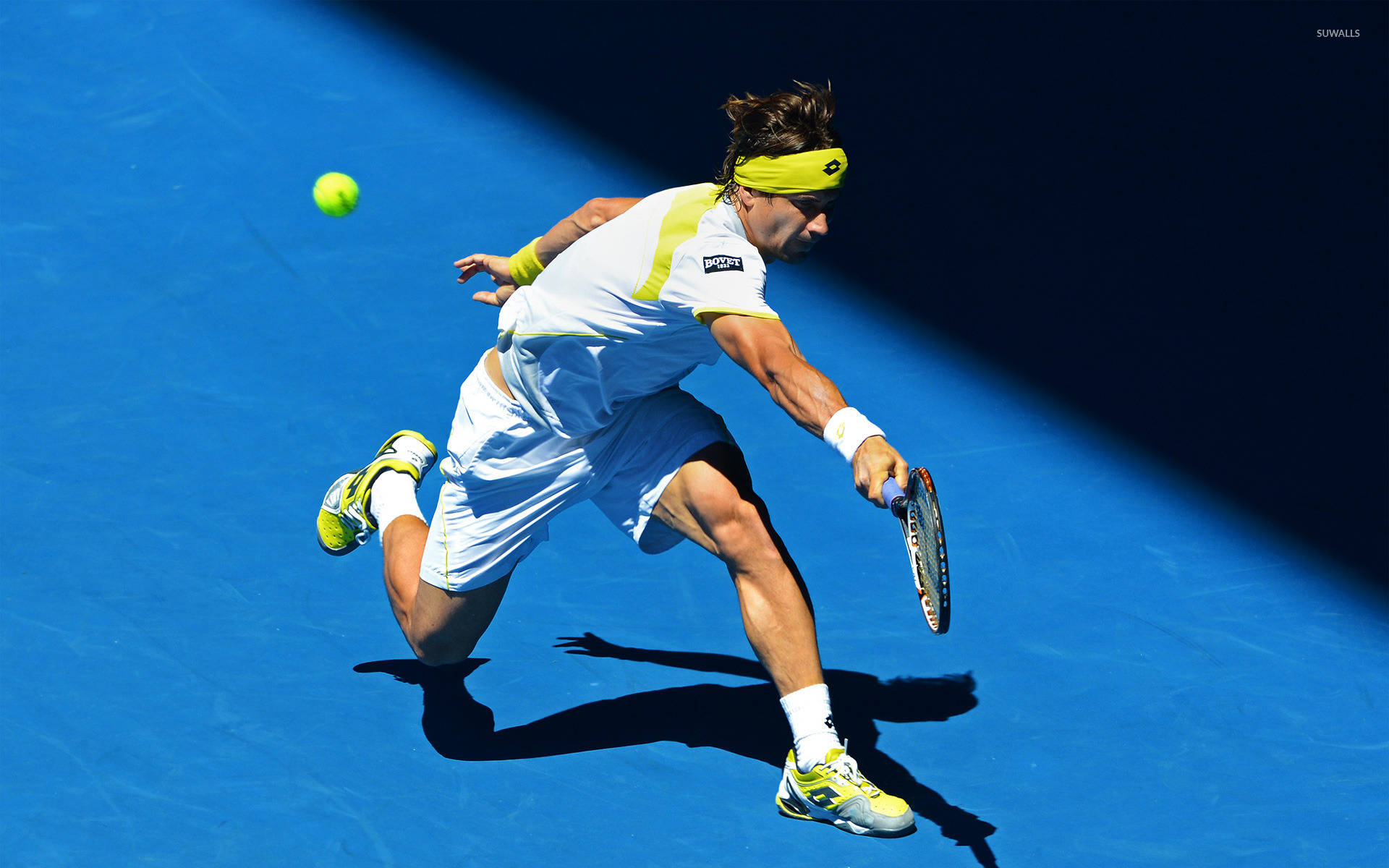 David Ferrer Blue Court Background