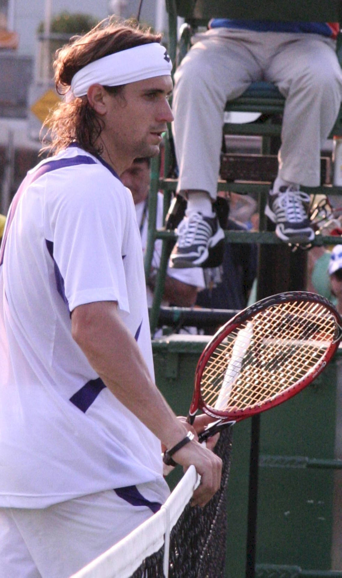 David Ferrer By The Net Background