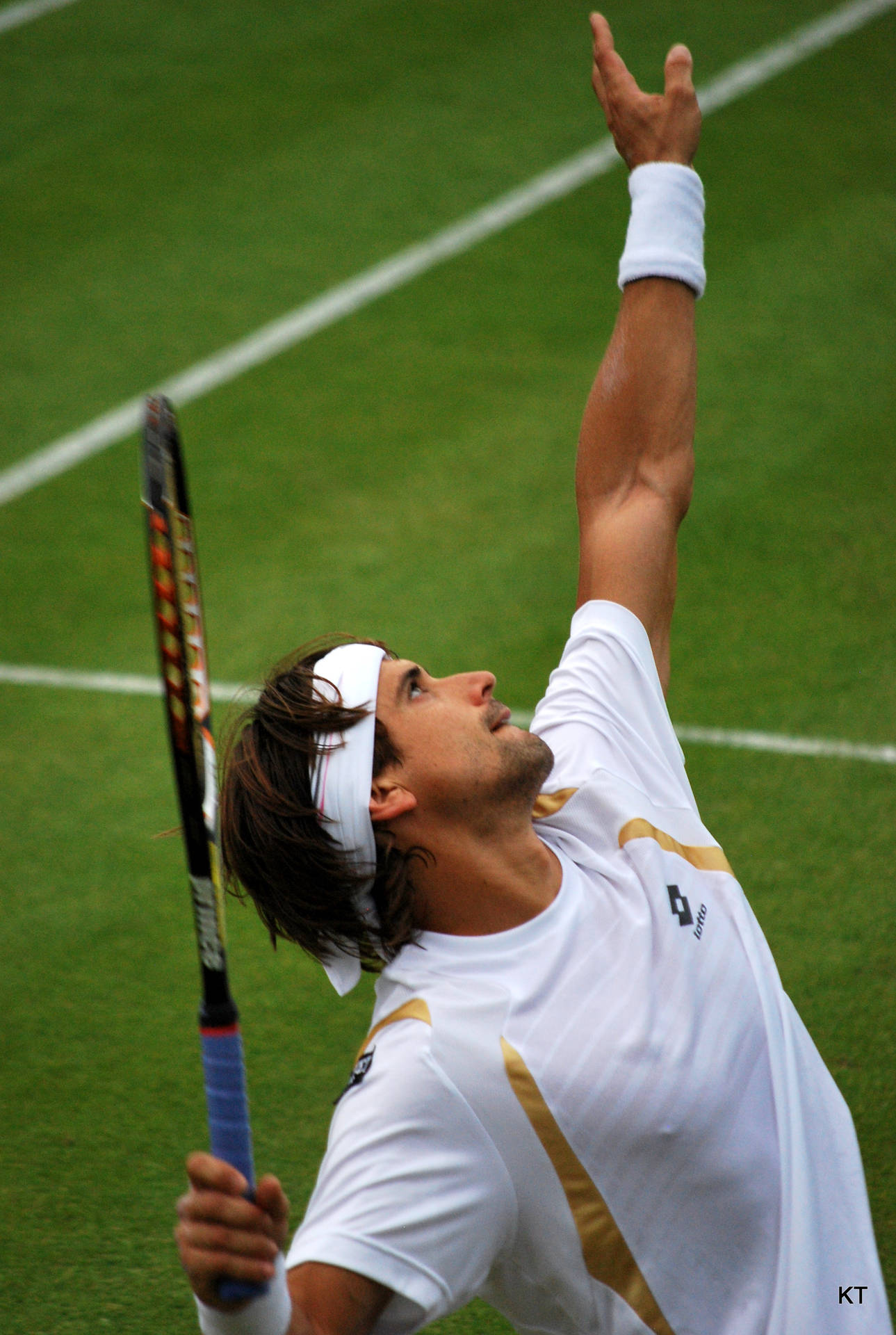 David Ferrer Exquisite Serve Form