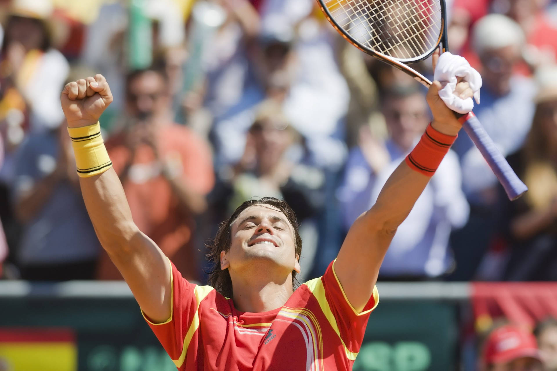 David Ferrer Fists In Air