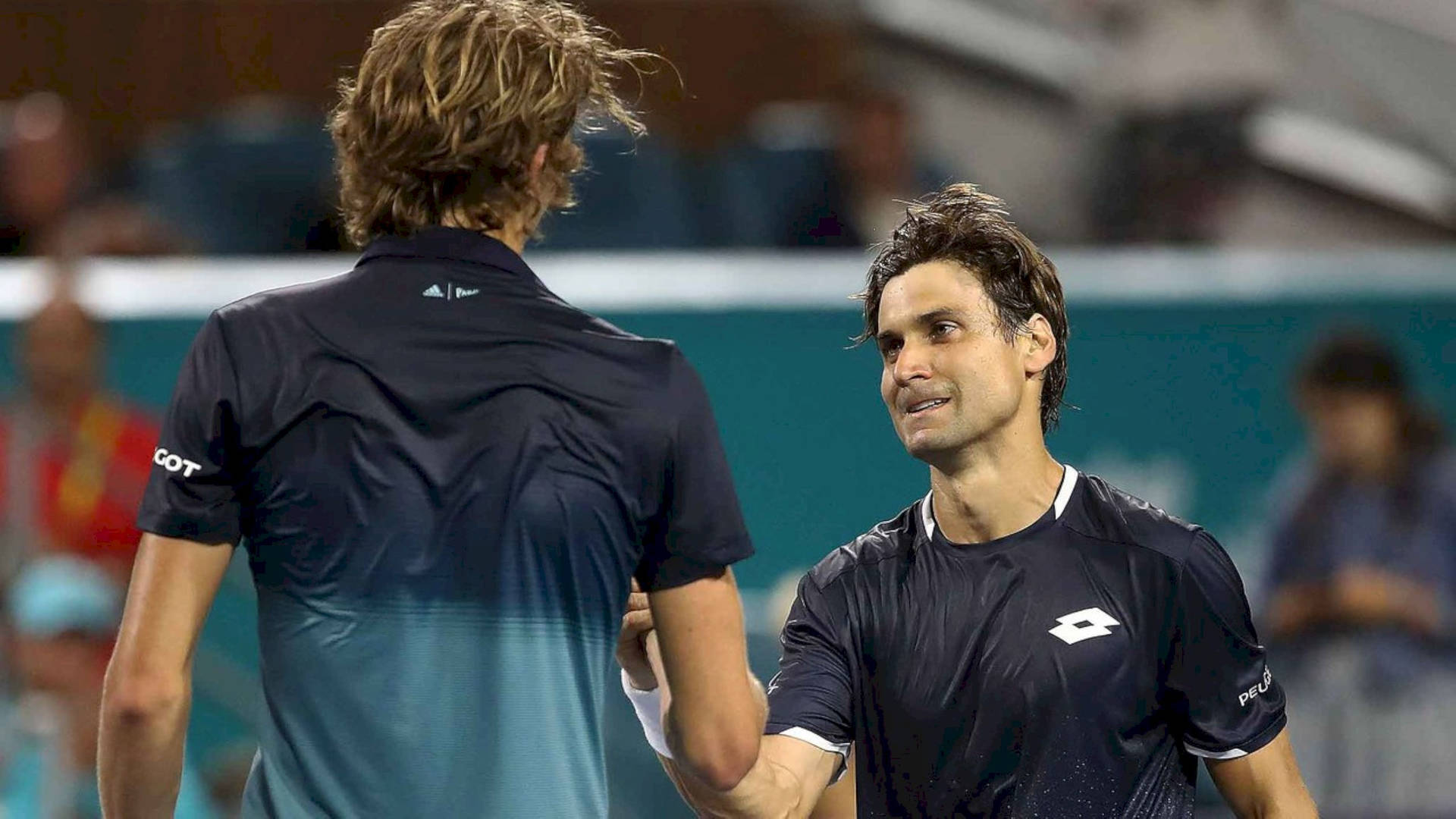 David Ferrer Greeting Opponent Background