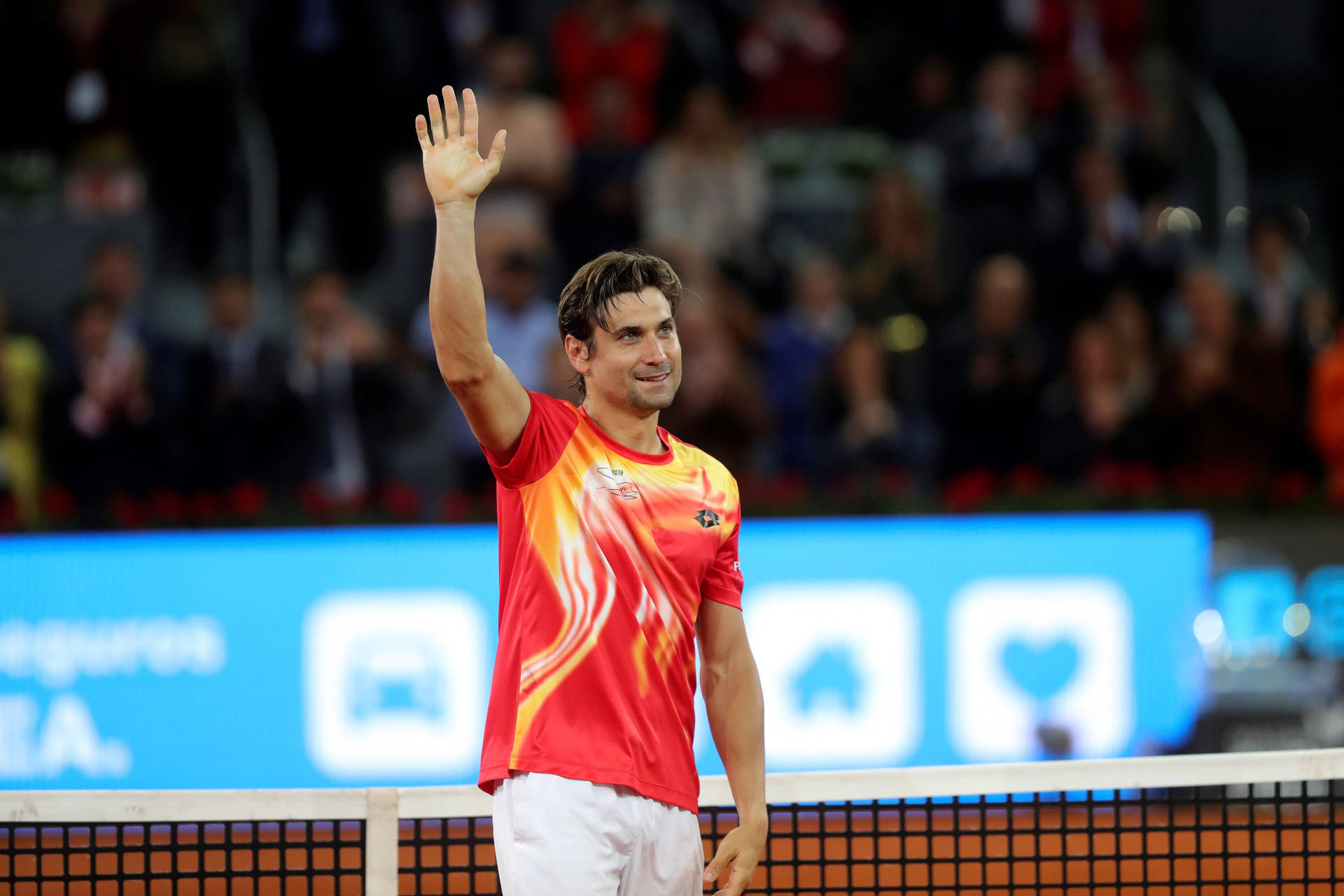 David Ferrer Hand Up